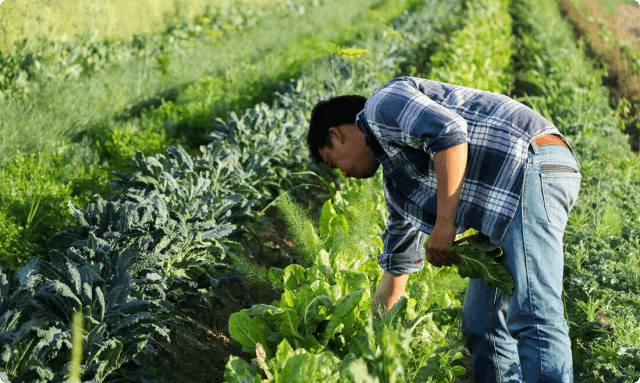 hero image of farmer in field